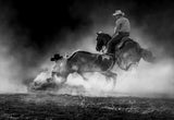 Steer Wrestling in the Light Poster och Canvastavla