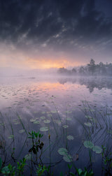 One morning I woke up Poster och Canvastavla