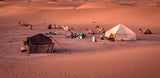 Nomadic Berber life Poster och Canvastavla
