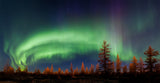 Northern lights Poster och Canvastavla