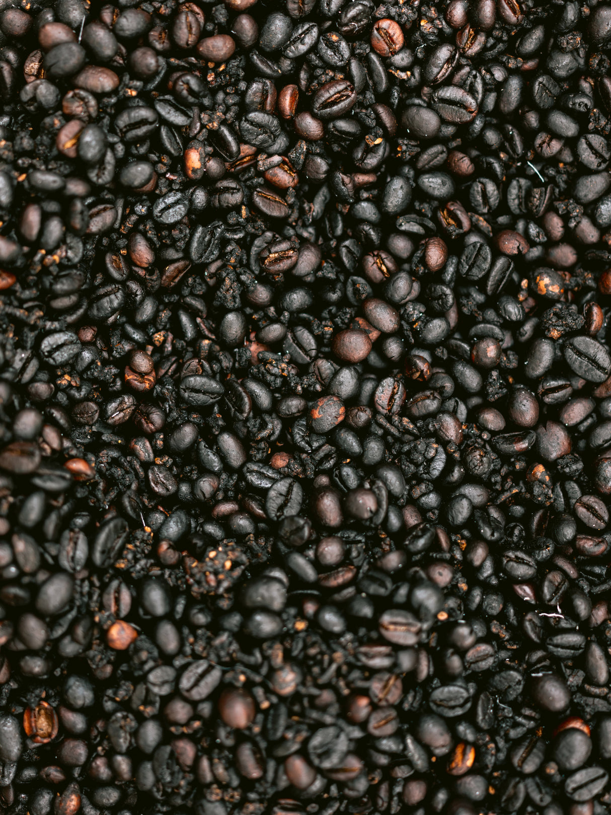 Coffee Poster och Canvastavla