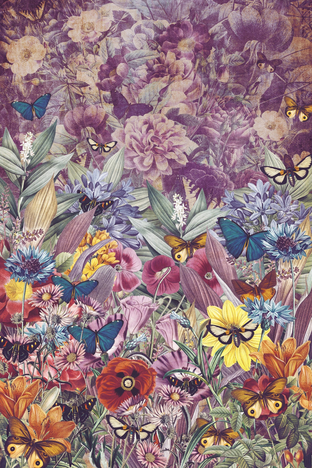 Kaleidoscope of Butterflies (Collective Nouns) Poster och Canvastavla