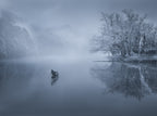 Sailing To The Fog Poster och Canvastavla