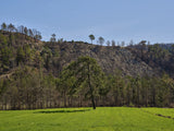 peaceful landscape in a rural place Poster och Canvastavla