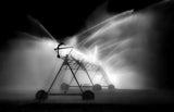 THE SPRAYING MONSTER ON WHEELS Poster och Canvastavla