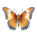 Butterfly 30 Poster och Canvastavla