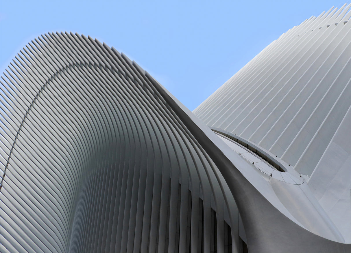 The Oculus Poster och Canvastavla