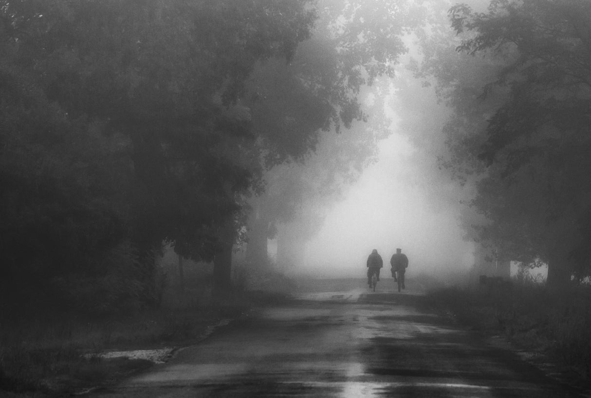 In the fog Poster och Canvastavla