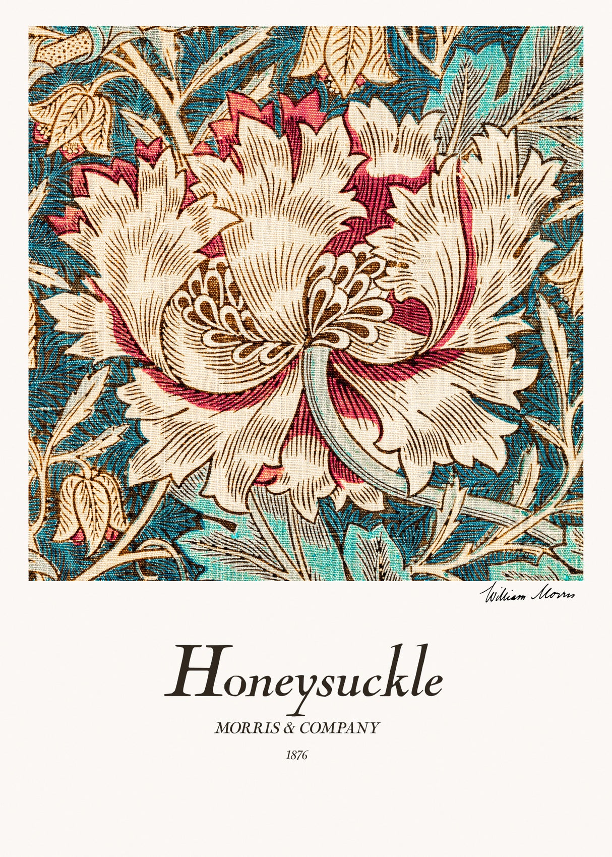 Honeysuckle Poster och Canvastavla