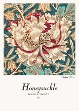 Honeysuckle Poster och Canvastavla