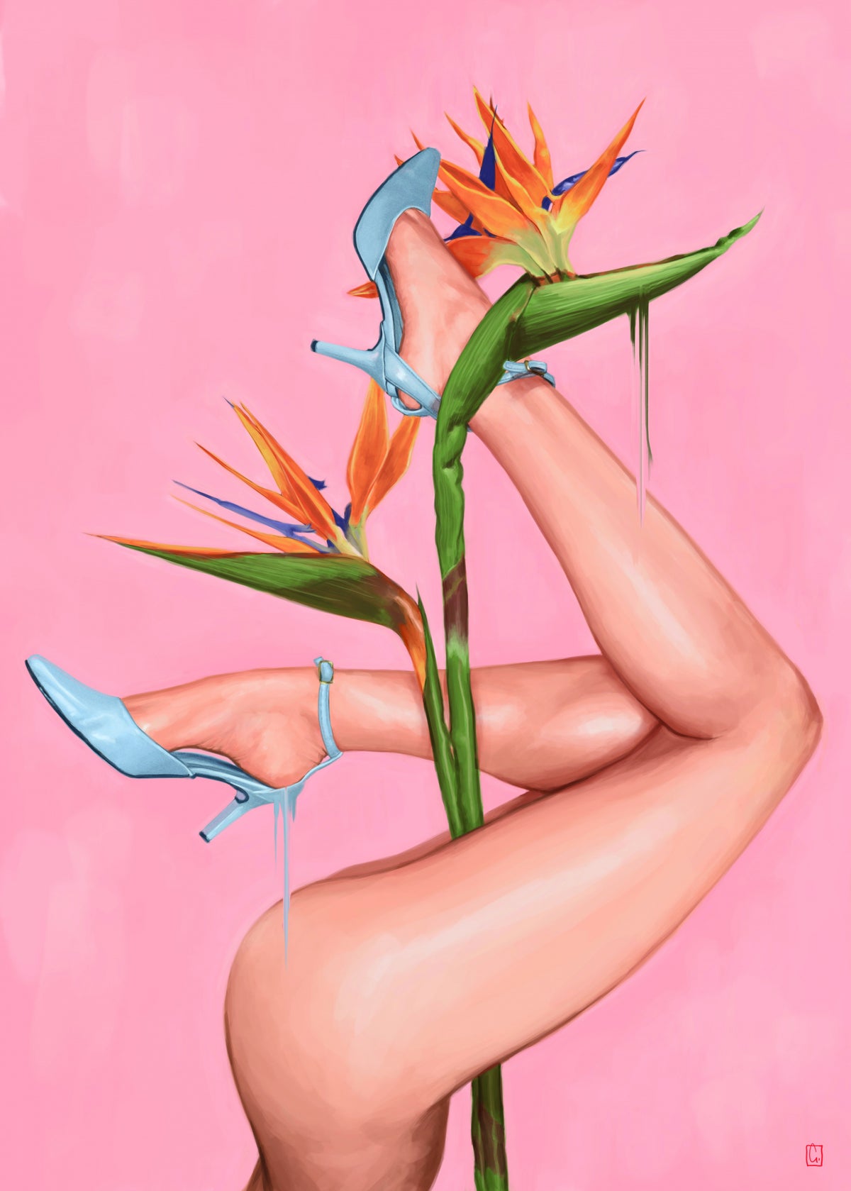 Bird of Paradise Poster och Canvastavla