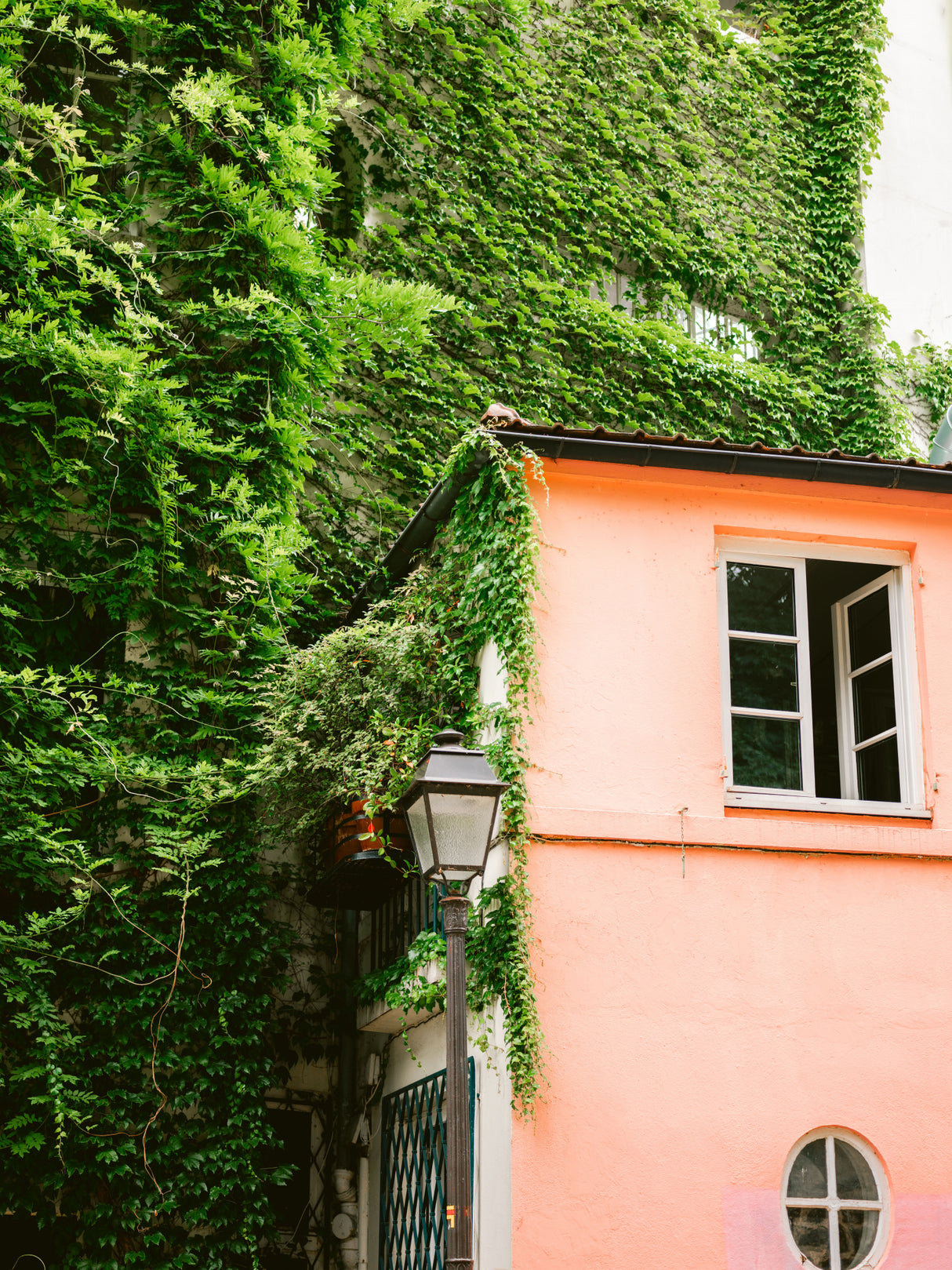 Green and Pink || Montmartre Paris Poster och Canvastavla