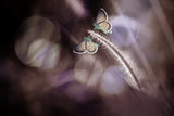 A Pair of Butterflies Poster och Canvastavla