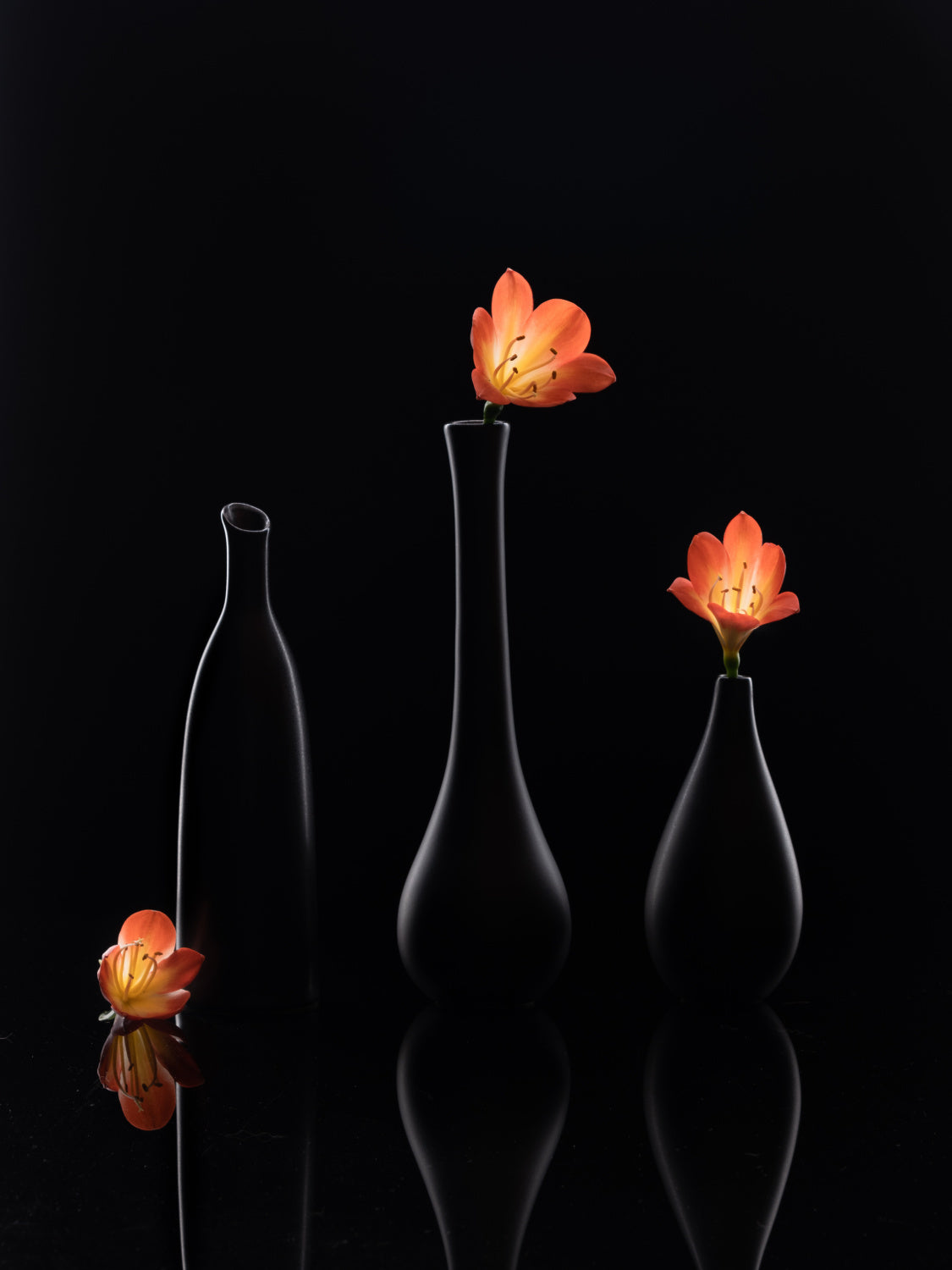 Clivia Poster och Canvastavla
