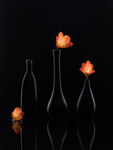 Clivia Poster och Canvastavla
