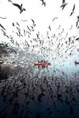 Limitless at Yamuna Ghat Poster och Canvastavla