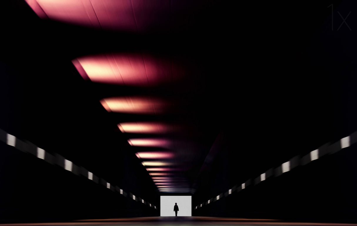 Hallucinations Poster och Canvastavla