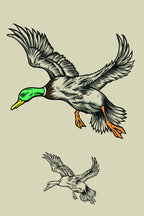 Flying Ducks Poster och Canvastavla