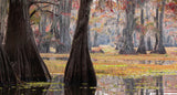 Lake Caddo Poster och Canvastavla