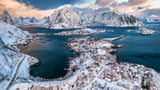 Aerial Reine Poster och Canvastavla