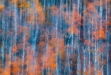 Autumn Abstract Poster och Canvastavla