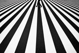 Stripe Poster och Canvastavla
