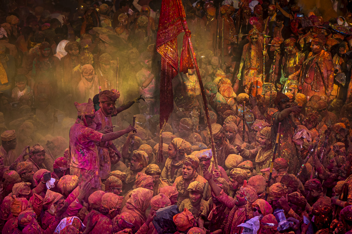 Festival of colours Poster och Canvastavla