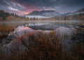 Pre-dawn autumn... Poster och Canvastavla