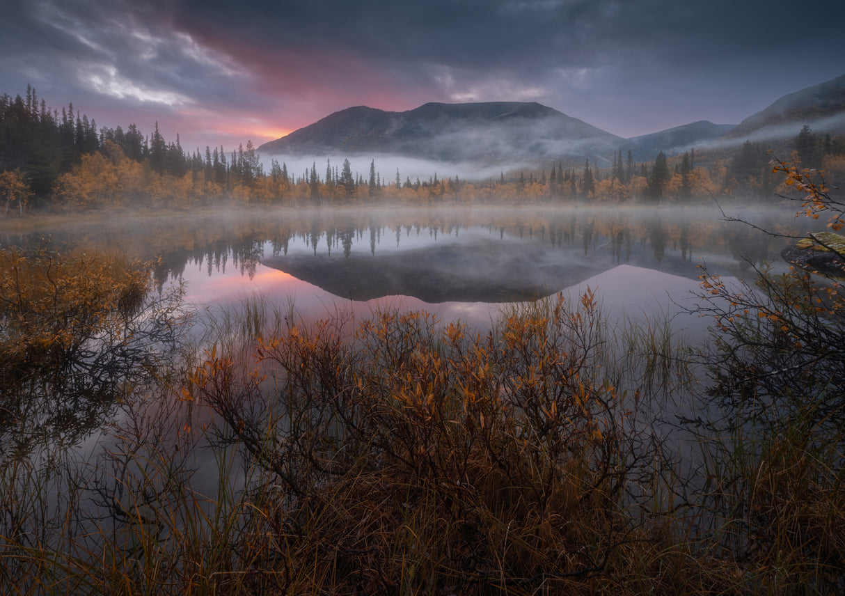 Pre-dawn autumn... Poster och Canvastavla