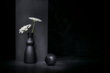 Umbelliferous Poster och Canvastavla