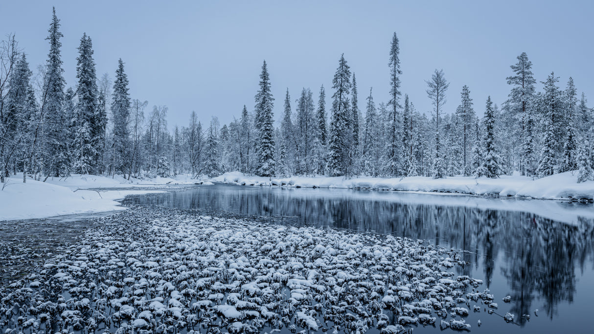 Winter calmness Poster och Canvastavla