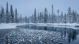 Winter calmness Poster och Canvastavla