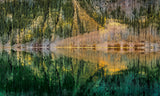 Reflection in the Lake Poster och Canvastavla