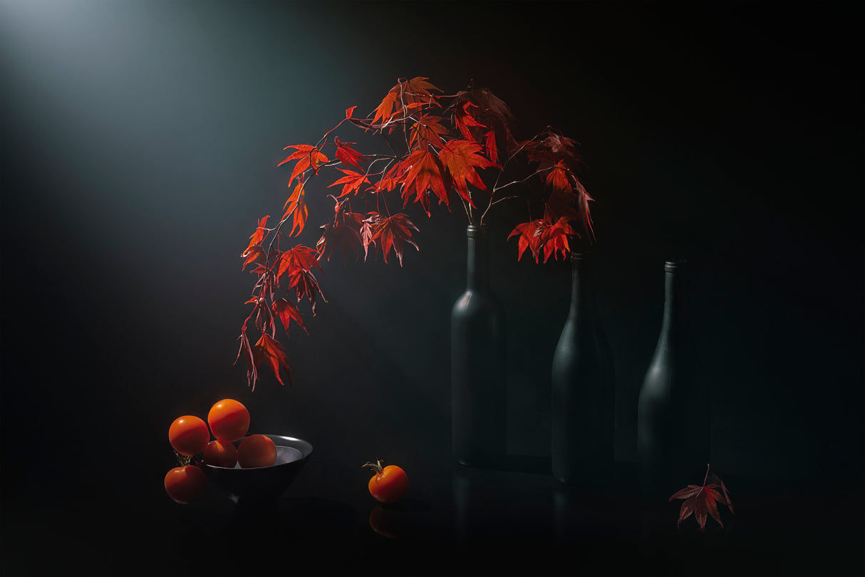 Maple Leaf Poster och Canvastavla