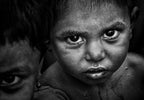 Rohingya refugee children Poster och Canvastavla