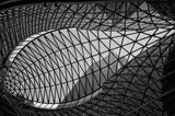 Like a fish Poster och Canvastavla
