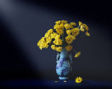 Yellow flowers Poster och Canvastavla