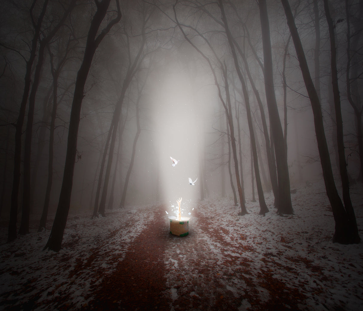 New Beginning Poster och Canvastavla