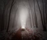 New Beginning Poster och Canvastavla