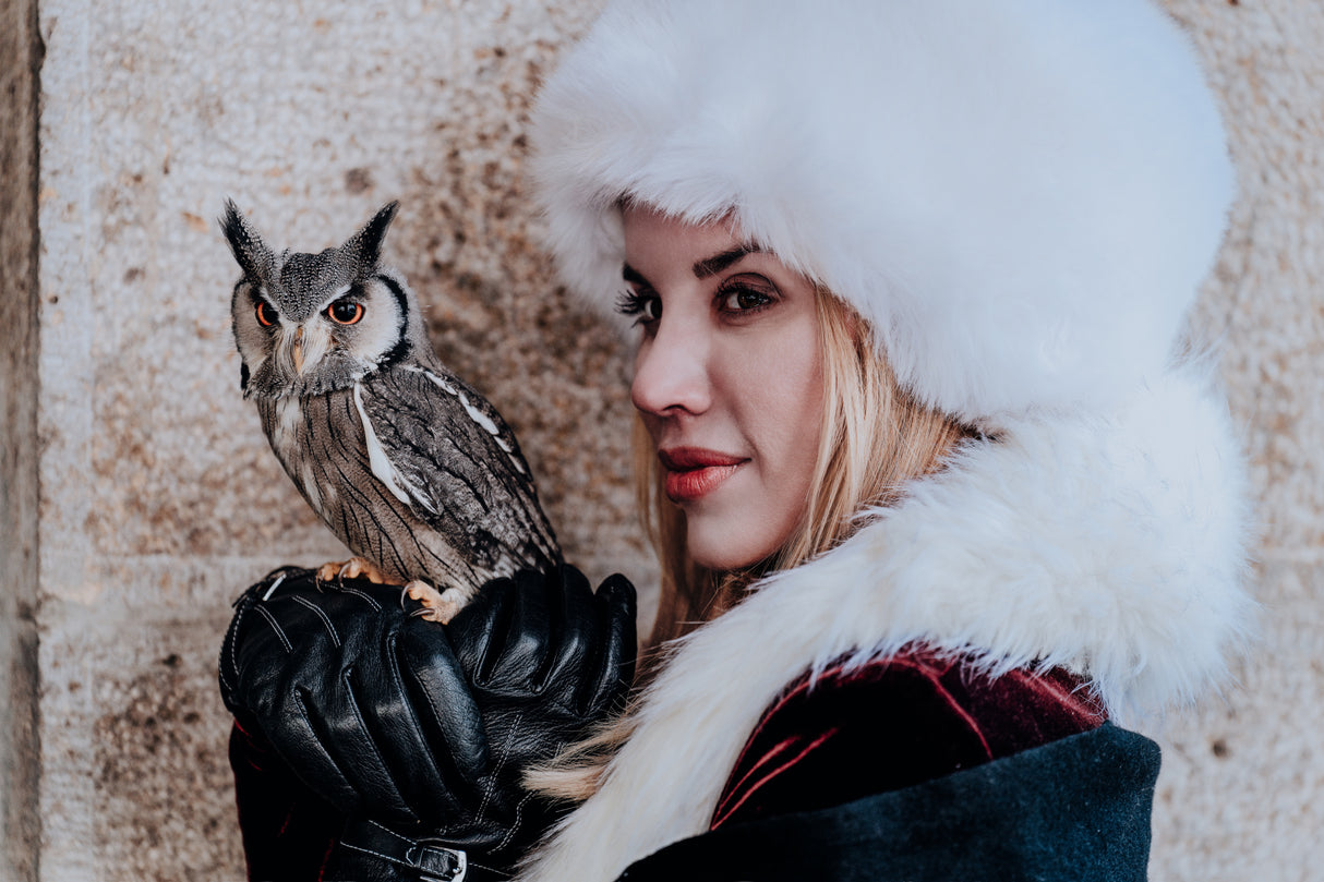 Beauty and owl Poster och Canvastavla