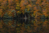 Autumn at the river Poster och Canvastavla
