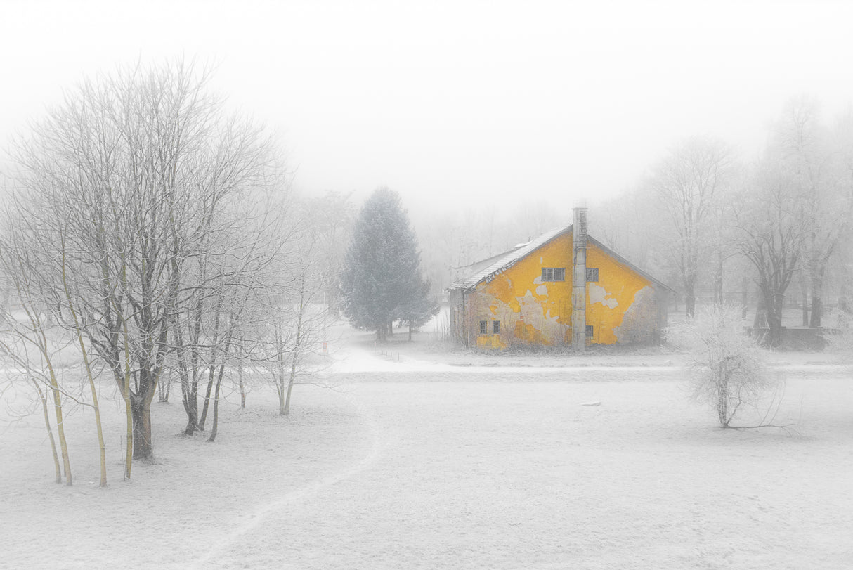 Misty house Poster och Canvastavla