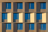 Four in gold Poster och Canvastavla