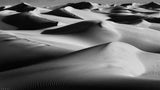 Endless Dunes Poster och Canvastavla