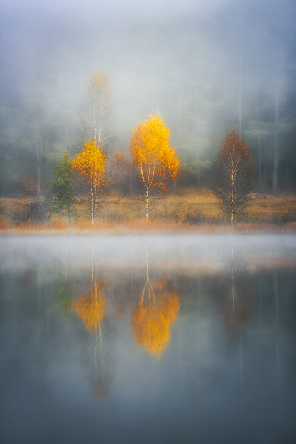 Frame of Autumn Poster och Canvastavla