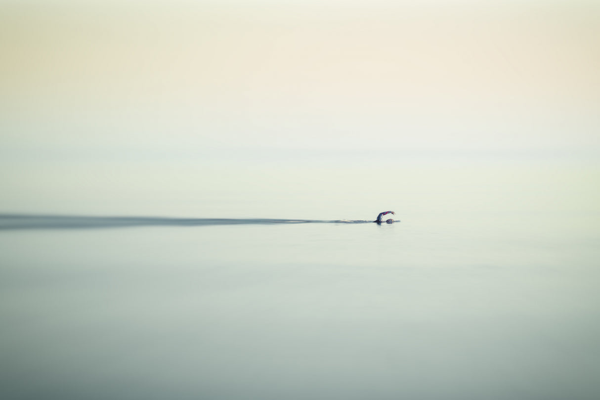 calm sea Poster och Canvastavla