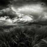 after the storm Poster och Canvastavla