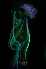 Flower in Glass Poster och Canvastavla