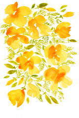 Watercolor California poppies quad 4 Poster och Canvastavla