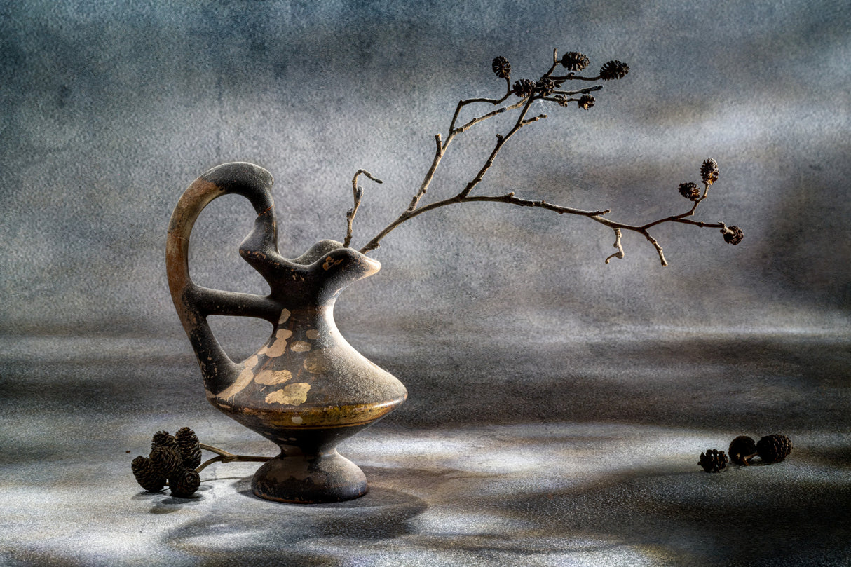 Still life with alder cones Poster och Canvastavla